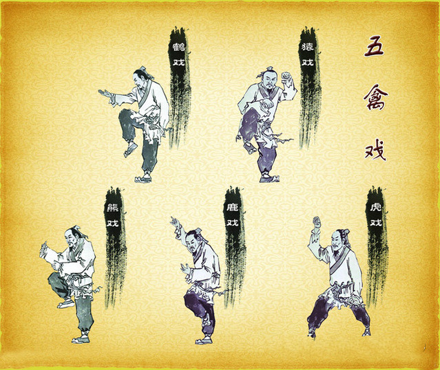 自发五禽戏动功-汇元气功养生馆